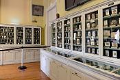 museum de histoire naturelle rouen 8-2021 9445